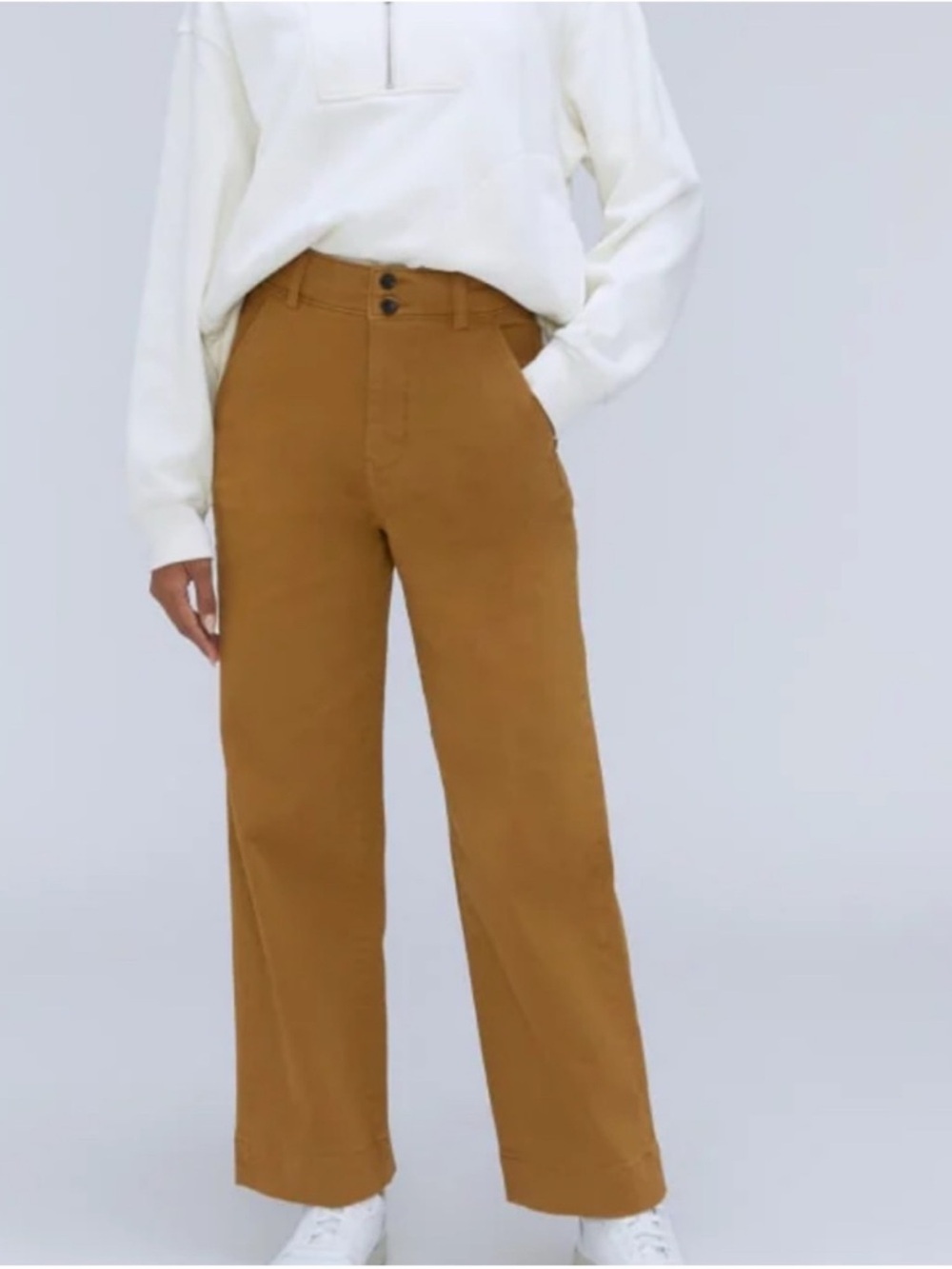 Everlane Tapenade Brown Wide-Leg Cropped Pants